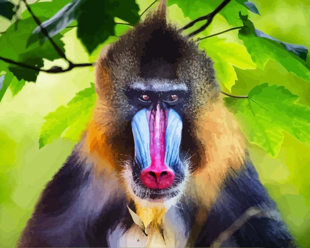 Vorschaubild 1